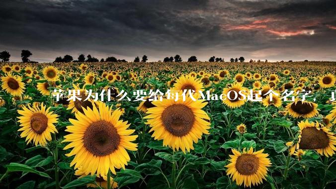 苹果为什么要给每代MacOS起个名字，真以为人们记得住分得清吗？