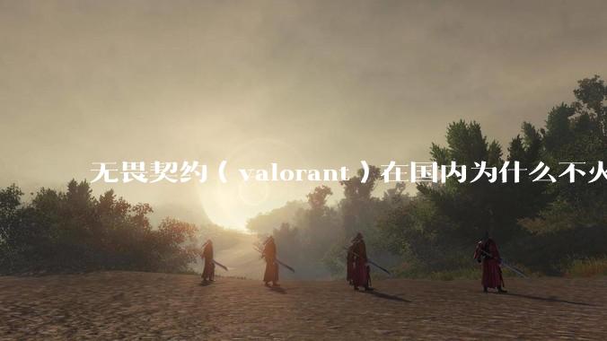 无畏契约（valorant）在国内为什么不火?
