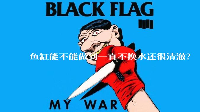 鱼缸能不能做到一直不换水还很清澈？