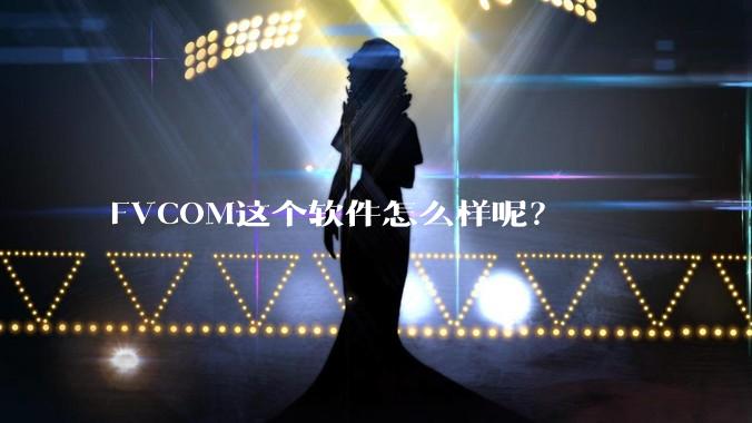 FVCOM这个软件怎么样呢？