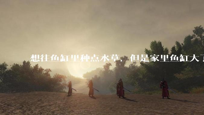 想往鱼缸里种点水草，但是家里鱼缸大了买水草泥或者底砂太贵了，有没有生活中可以替代的物品或其他建议？
